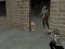 Laro Survivor ng Zombie Apocalypse Ngayon online