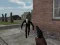 Laro Ang Bukang Liwayway ng Slenderman online