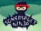 Laro Ninja Pagsasawing online