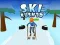 Laro Ski Rush 3D online