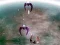 Laro Scape Shotter online