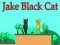 Laro Jake Itim na Pusa online