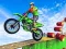 Laro Pagmamaneho ng Bike Stunts 2022 online