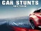 Laro Car Stunts Sky Tour online