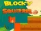 Laro Squirrel Block online