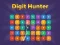 Laro Digit Hunter online
