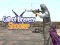 Laro Tawag ng Tapang: Shooter online