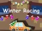 Laro Winter Racing 2D online