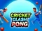 Laro Cricket Clash Pong online