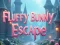 Laro Takas ng Fluffy Bunny online