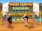 Laro Head sports! basketball online