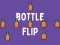 Laro Bottle flip online