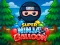 Laro Super Ninja Balloon online
