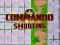 Laro Commando Shooting online