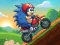 Laro BLE HEDGEHOG RIDE online