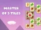 Laro Master ng 3 tile online