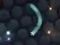 Laro Slither.io online Laro Slither.io online