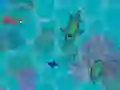 Laro Sharkz.io online Laro Sharkz.io online