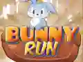 Laro Takbo ng Kuneho online