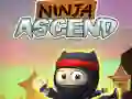 Laro Ninja Umaakyat online Laro Ninja Umaakyat online
