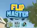Laro Guro ng Flip online Laro Guro ng Flip online