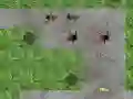 Laro Ayuda sa Tower Spider online