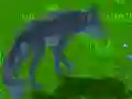 Laro Tagasuri ng Wolf online Laro Tagasuri ng Wolf online