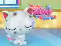 Laro Pag-aalaga sa Cute na Kuting online