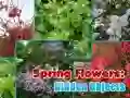Laro Mga Bulaklak ng Tagsibol: Nakatagong mga Bagay online Laro Mga Bulaklak ng Tagsibol: Nakatagong mga Bagay online