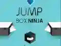 Laro Ninja Jump Box online