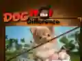 Laro Aso Hanapin ang Mga Pagkakaiba online Laro Aso Hanapin ang Mga Pagkakaiba online