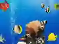Laro Bawas Marine na Kaibahan online Laro Bawas Marine na Kaibahan online