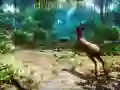 Laro Manghuhuli 3D online