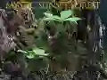 Laro Mistik na gubat sa paglubog ng araw online