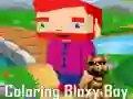 Laro Pagkulay kay Bloxy Boy online Laro Pagkulay kay Bloxy Boy online