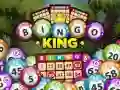 Laro Hari ng Bingo online Laro Hari ng Bingo online