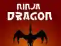 Laro Ninja Dragon online Laro Ninja Dragon online