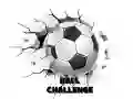 Laro Hamon ng Bola online Laro Hamon ng Bola online