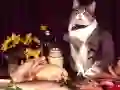 Laro Nakakatawang Pusa Puzzle online