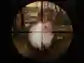 Laro Klasikal na Paghuhuli ng Pusa ng Sniper 2019 online Laro Klasikal na Paghuhuli ng Pusa ng Sniper 2019 online
