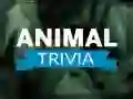 Laro Trivia ng Mga Hayop online Laro Trivia ng Mga Hayop online