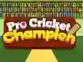 Laro Pro Cricket Champion online