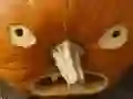 Laro 5 sa 1 Larawan Puzzle: Halloween online Laro 5 sa 1 Larawan Puzzle: Halloween online
