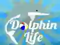Laro Buhay ng Dolphin online Laro Buhay ng Dolphin online