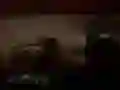 Laro Nakakatakot na Safari sa Gubat online Laro Nakakatakot na Safari sa Gubat online