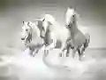 Laro Horses Puzzle online