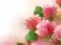 Laro Rosas na Rosas online Laro Rosas na Rosas online