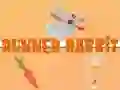 Laro Tumakbong Kuneho online Laro Tumakbong Kuneho online