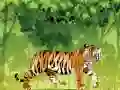 Laro Pagkulay ng Galit na Tigre online