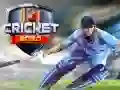 Laro Kricket 2020 online